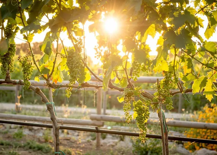 Vigna Corallo Апарт-готель