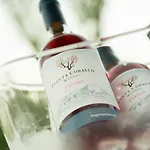 Vigna Corallo Hotel apartamentowy 4*