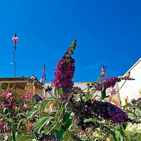Vigna Corallo 4*