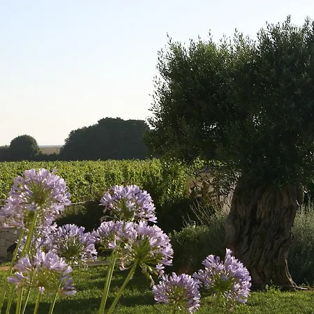 Vigna Corallo 3* Otrante