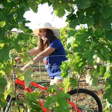 Vigna Corallo 3* Otrante