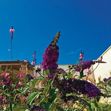 Vigna Corallo 3* Otrante