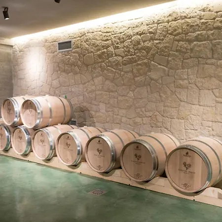 Vigna Corallo Apart Otel 4*