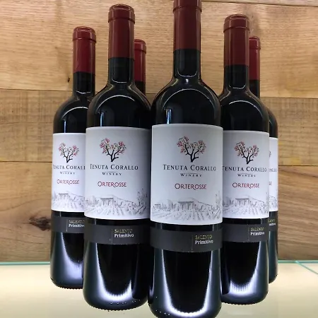 아파트호텔 Vigna Corallo 오트란토