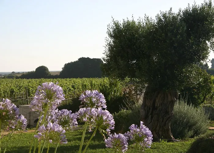 Vigna Corallo 4* Отранто