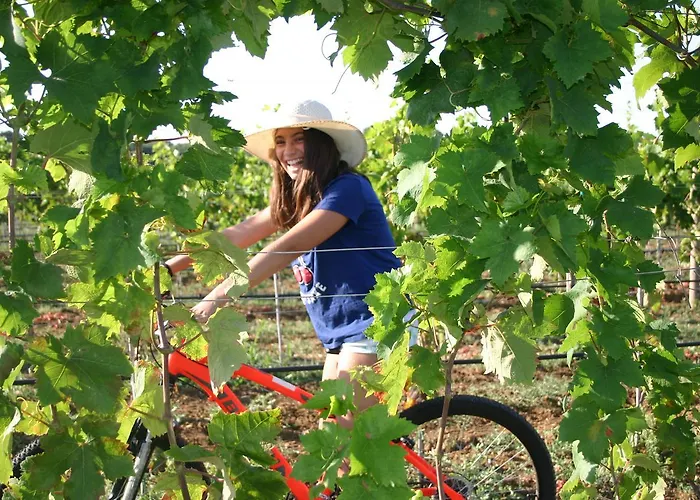 Vigna Corallo 4* Отранто